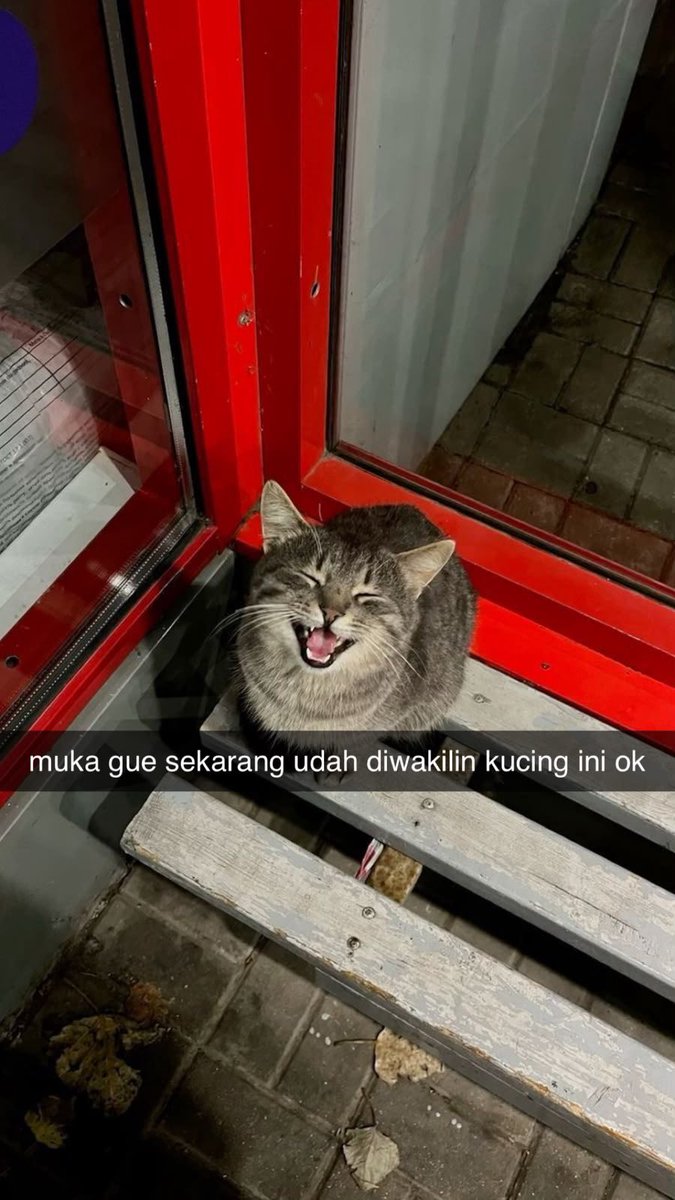 kittycharoenrak's tweet photo. emang boleh sahabatan begini? https://t.co/i3tvs7C8KV