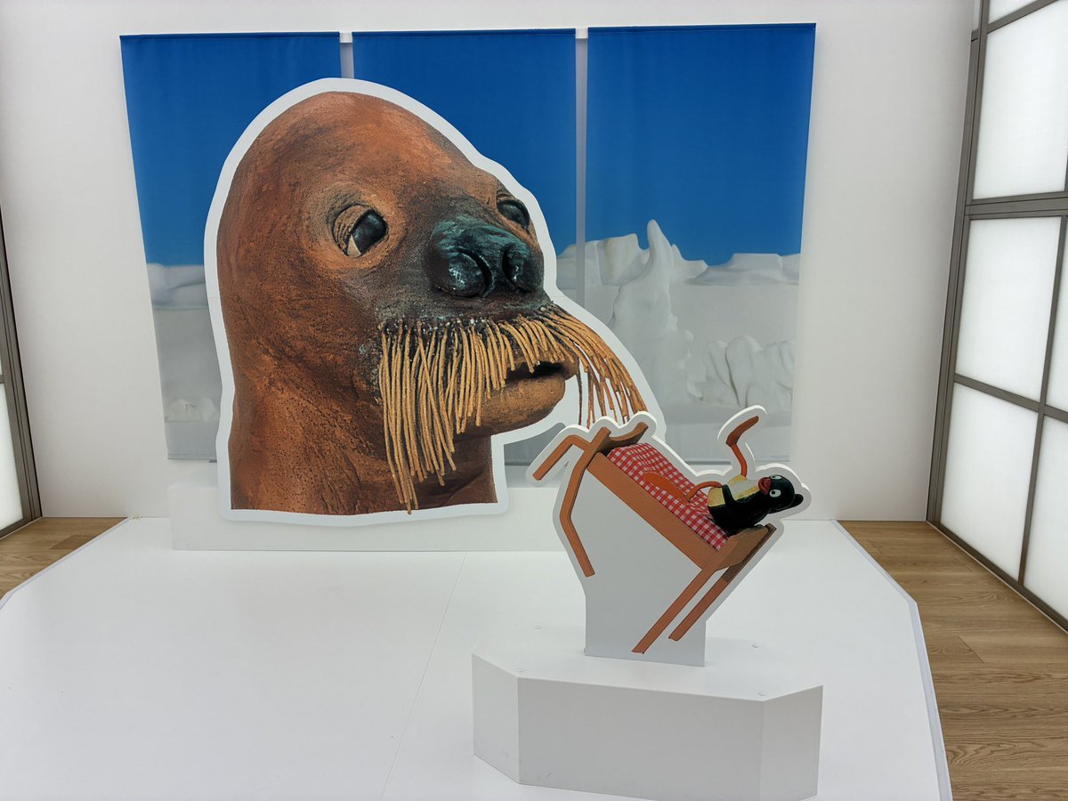 ganslingerst's tweet photo. 可愛いだけじゃない！？ピングー展に行ってきました。色々な体験型コンテンツがあったりトラウマ回のフォトスポットがあったりとファンにはたまらない空間でし��。 https://t.co/4ElVpivAcT