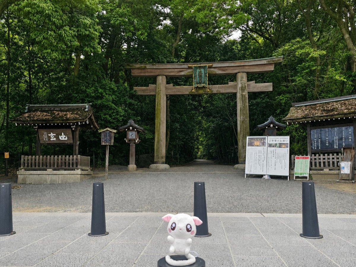 _momonchy_'s tweet photo. ‼️ ぬいぐるみが宙に浮いてる？

新しいぬい活、始めました。
ももんちぃで始めました。

よくみると、体が浮いてるよ。

#ももんちぃといっしょ
#ぬいぐるみ
#ぬい活
#ねむれない夜のしっぽのお守り
#ももんちぃ
#momonchy https://t.co/ENVl0WpV6d