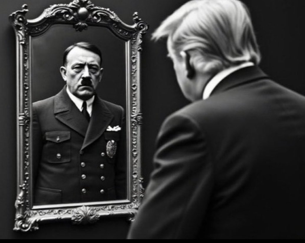 kmedic1's tweet photo. @DHSgov Hitler’s  playbook 
Armed with their increased parliamentary presence and having arrested communist deputies, the Nazis forced through the Enabling Act. This law allowed Hitler’s cabinet to enact laws without the approval of parliament, effectively ending democracy. https://t.co/aWuTUTtpWz