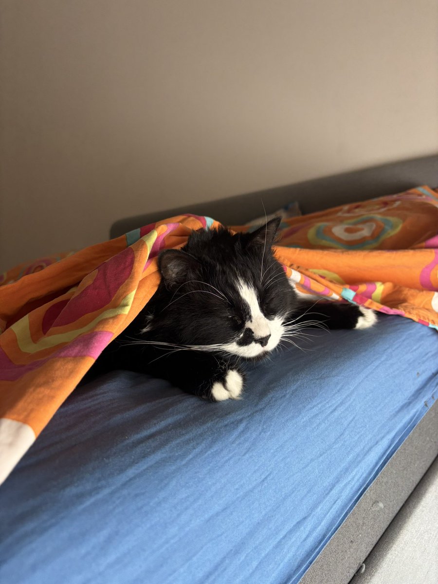Matenolol's tweet photo. C’est la canicule mais tu dors quand même sous le drap sinon les monstres vont te manger : https://t.co/XH9P49iCt9