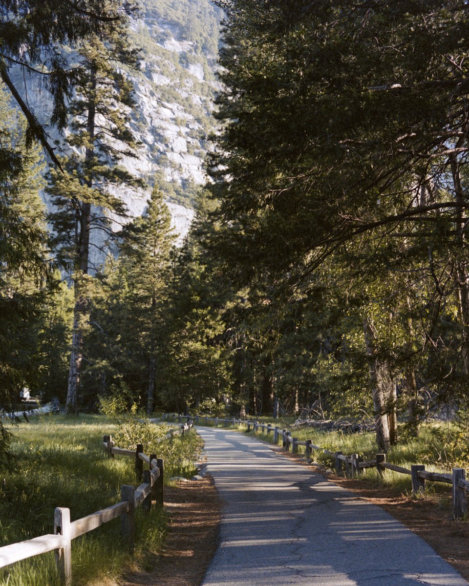 MrHolga's tweet photo. Somewhere on a trail at @YosemiteNPS with my Pentax 645n medium format camera and @Kodak NC400 220 film (expired, of course).
#filmphotography #yosemite #nationalpark #trail #trees #mountains #fields #nature #landscape https://t.co/dV75owc6o0
