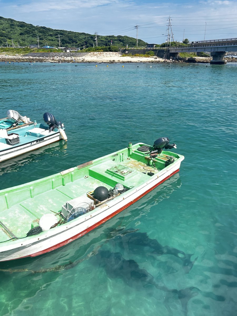 weaver_0813's tweet photo. 高知県の柏島、意味わからんくらい綺麗な海にイルカまでいた https://t.co/p4gkaAgeAK