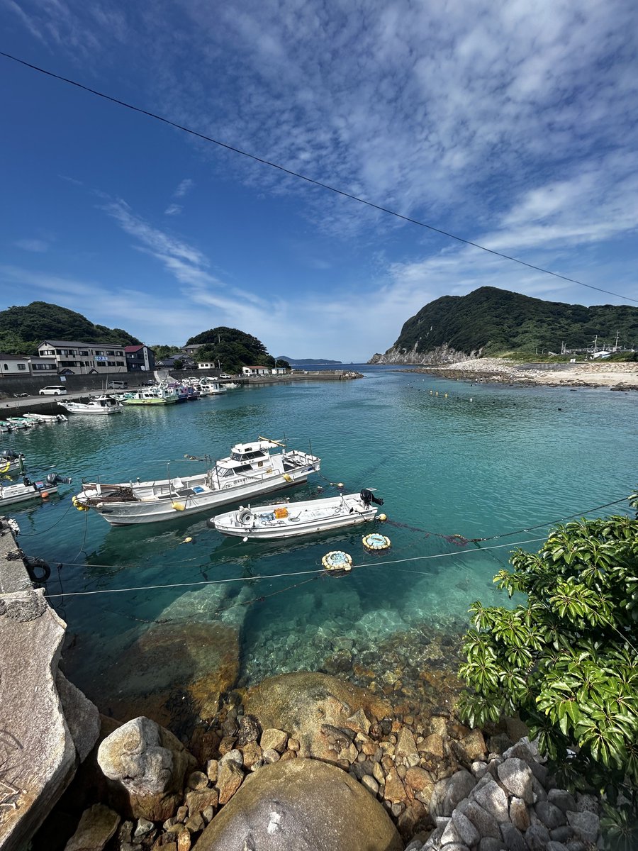 weaver_0813's tweet photo. 高知県の柏島、意味わからんくらい綺麗な海にイルカまでいた https://t.co/p4gkaAgeAK