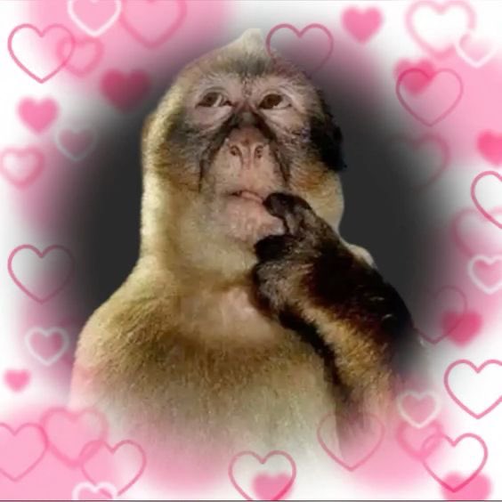 feh_chs's tweet photo. eu amo quando, antes da minha namorada sair para trabalhar, ela me enche de beijinhos e me lambuza de gloss sabor cereja https://t.co/ZqpgMZxJeE