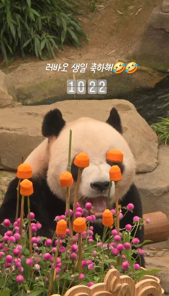 ZOA_BAO's tweet photo. 이 사진 볼때마다 웃곀ㅋㅋㅋㅋㅋㅋㅋㅋㅋ 최고의 웃수저 낑 https://t.co/s87fxoHOCX