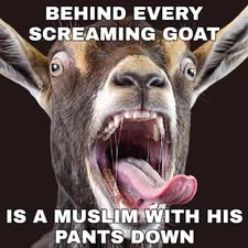VernonWayne2's tweet photo. @FoxNews @pdoocy LOL, turns out the Iranians are just as stupid as the democrats. https://t.co/zK1tBBMnjL