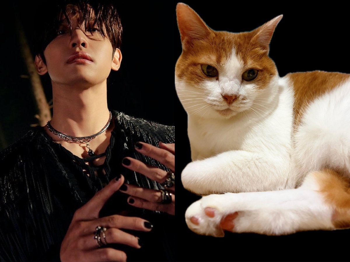 yuisaku07's tweet photo. 美人✖️美人
#TVXQ #MAXCHANGMIN
#UCHINOKO #DXKOUME https://t.co/MCOLKUwBJ4