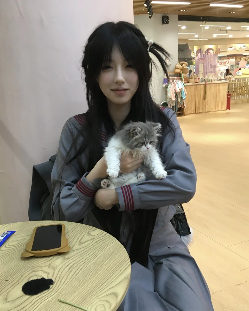 ashlynneley's tweet photo. Nothing is better than holding a tiny fluffy kitty. #cat https://t.co/WXBoHdGgjM