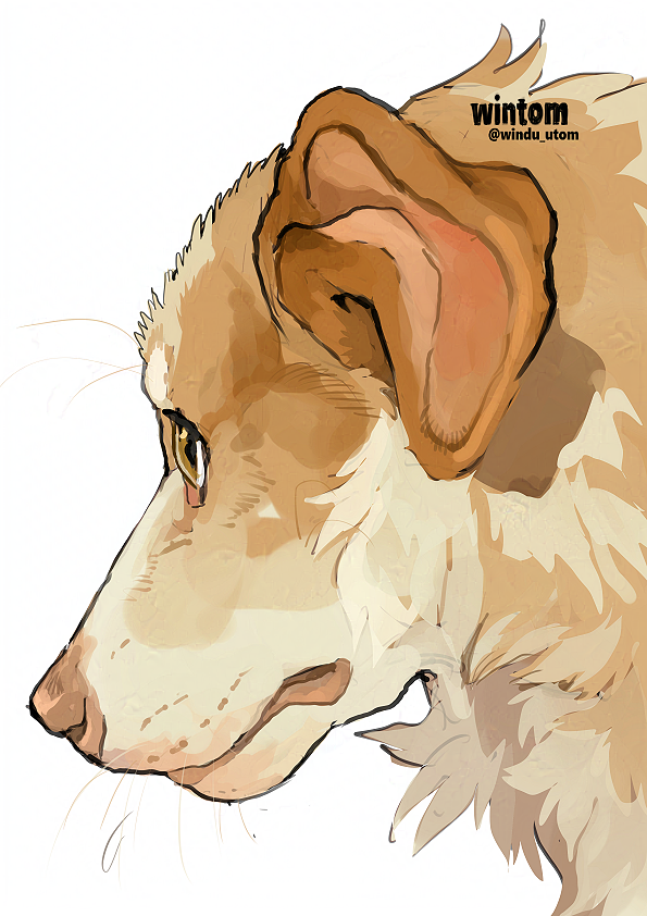 windu_utom's tweet photo. big floppy ears are so cute! https://t.co/HY3vRuGQLZ