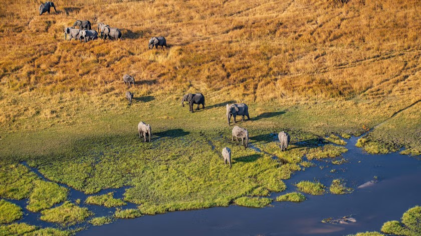 theGEF's tweet photo. Half-way to 2030 🌍 As #SBSTTA28 and #SBI7 open in Nairobi, see how @TheGEF has helped create 170M hectares of new protected areas and channeled $362M through the #GBFF to 87 countries. The road to #COP17 starts here 🔗 https://t.co/mboOi783dz https://t.co/RbqbGKj6nU