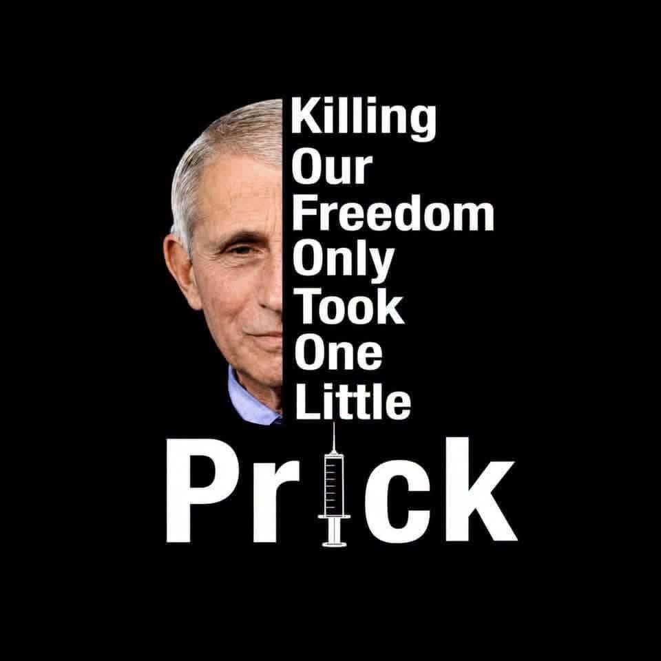 Fawkessmom's tweet photo. @catturd2 https://t.co/qvYrRu3cUo