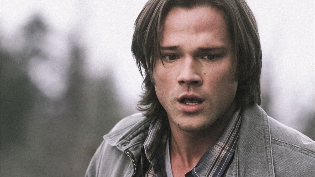 sykadeanw's tweet photo. [104/327] • 5.22 - Swan Song
«Hey! Assbutt!»

#spnrewatch  #deanwinchester #samwinchester #winchesterbrothers https://t.co/D4LQi8fJeX