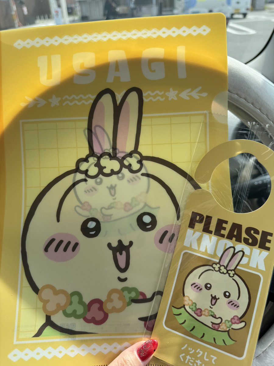 うさぎ🐰✨getした