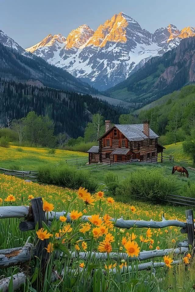 earthwhisperss's tweet photo. Beautiful Swiss Alps 🇨🇭 https://t.co/eYC56PdXkY