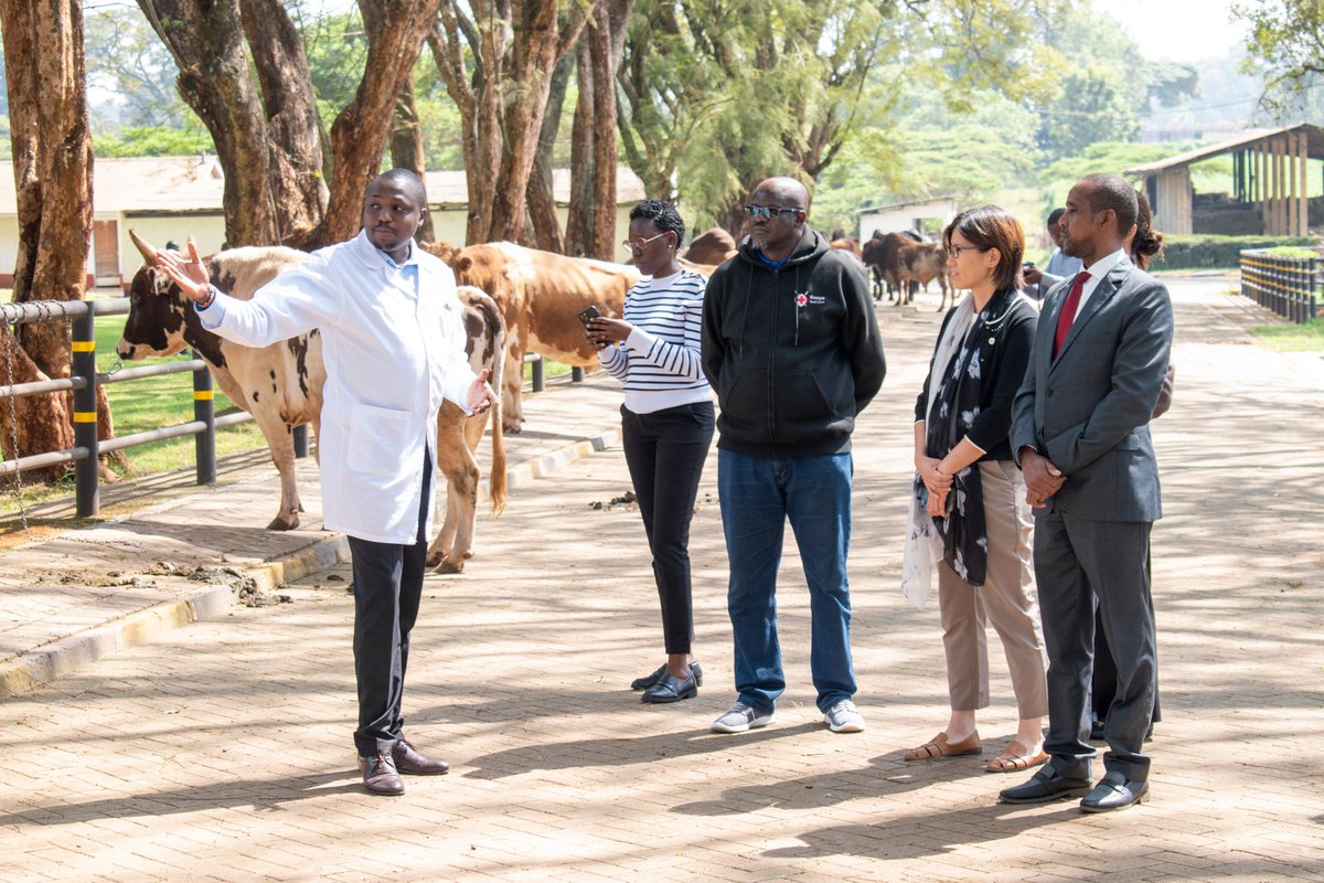 KAGRC_KE's tweet photo. Today, KAGRC hosted a delegation from the Hong Kong Red Cross and the Kenya Red Cross Society to explore opportunities for expanding the KAGRC–KRCS Livestock Breed Improvement Programme to Tana River, West Pokot and Baringo counties following its successful launch in Kajiado County.

The team was welcomed by KAGRC Board Chairman, Hon. Nuh Abdi (Dr.), Managing Director, Dr. Benadatte Misoi, and members of the management team. Present from the Hong Kong Red Cross were Dr. Joyce Chiny, Head of International & Relief Service, and Angie Ho, International & Relief Service Officer, alongside Elizabeth Osodo, Strategic Partnerships Officer, and Charles Jow from the Kenya Red Cross Society.

The visit provided an opportunity to showcase the transformative programme, which leverages superior animal genetics and modern reproductive technologies to improve livestock productivity, strengthen food security and enhance climate resilience among pastoral communities in Kenya's arid and semi-arid lands (ASALs).

The pilot programme targets the synchronization and insemination of more than 4,000 cows, with an estimated 20,000 people expected to benefit through increased milk production, improved household incomes, enhanced nutrition and sustainable livelihoods.

By introducing superior breeds such as Sahiwal, Boran, Jersey and Magic 50, and combining KAGRC's expertise in animal genetics and artificial insemination with the Kenya Red Cross Society's extensive humanitarian reach, the partnership is laying the foundation for resilient livestock systems and prosperous livestock communities across Kenya.
