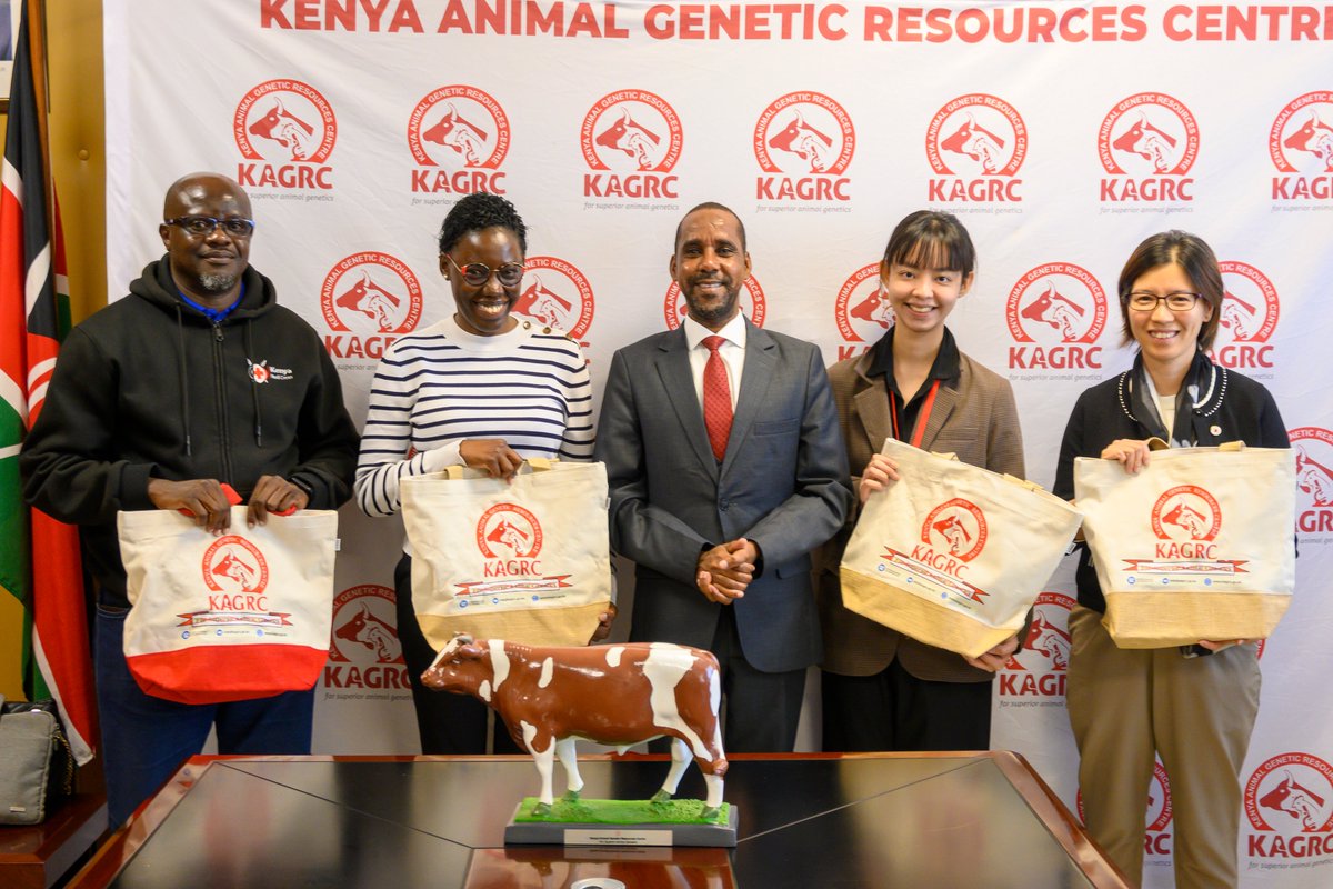 KAGRC_KE's tweet photo. Today, KAGRC hosted a delegation from the Hong Kong Red Cross and the Kenya Red Cross Society to explore opportunities for expanding the KAGRC–KRCS Livestock Breed Improvement Programme to Tana River, West Pokot and Baringo counties following its successful launch in Kajiado County.

The team was welcomed by KAGRC Board Chairman, Hon. Nuh Abdi (Dr.), Managing Director, Dr. Benadatte Misoi, and members of the management team. Present from the Hong Kong Red Cross were Dr. Joyce Chiny, Head of International & Relief Service, and Angie Ho, International & Relief Service Officer, alongside Elizabeth Osodo, Strategic Partnerships Officer, and Charles Jow from the Kenya Red Cross Society.

The visit provided an opportunity to showcase the transformative programme, which leverages superior animal genetics and modern reproductive technologies to improve livestock productivity, strengthen food security and enhance climate resilience among pastoral communities in Kenya's arid and semi-arid lands (ASALs).

The pilot programme targets the synchronization and insemination of more than 4,000 cows, with an estimated 20,000 people expected to benefit through increased milk production, improved household incomes, enhanced nutrition and sustainable livelihoods.

By introducing superior breeds such as Sahiwal, Boran, Jersey and Magic 50, and combining KAGRC's expertise in animal genetics and artificial insemination with the Kenya Red Cross Society's extensive humanitarian reach, the partnership is laying the foundation for resilient livestock systems and prosperous livestock communities across Kenya.