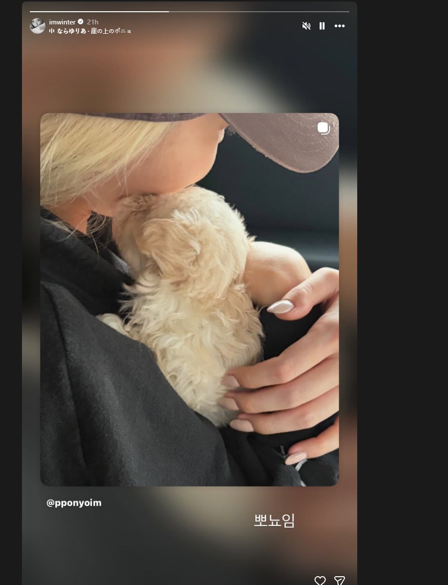 KingMemesDev's tweet photo. its $ponyo, she posted the name on her story earlier

4emNkp5iibJ1ycEkVVdHtcYWhXoaodwQRJ6P1AG2pump

https://t.co/8XQJSKAQY4

ig is "pponyo" probably bc she couldnt get the OG @ (ponyo is a common japanese/korean name for pets) https://t.co/AlH3fBY9uP