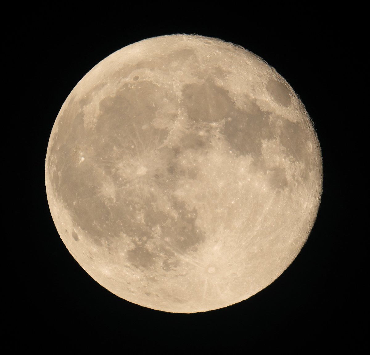 MoonWorld_jp's tweet photo. 満月を過ぎて 月は少し欠け始めました。
2026/07/30 月齢16.1 FC-76DS #月 #イマツキ https://t.co/WItqXIIJLc