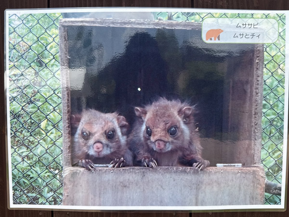 エリア毎に写真があるんだけど、懐かしさで胸がいっぱいに…😢❤️①