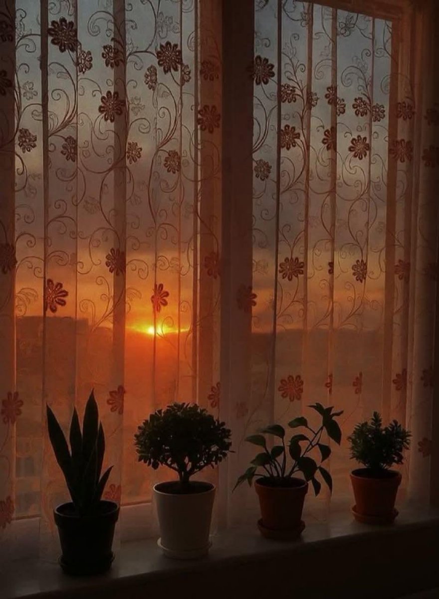 nisyan8141's tweet photo. "Batmayı gördün ya, doğmayı da seyret.." https://t.co/eQpElpnGcU