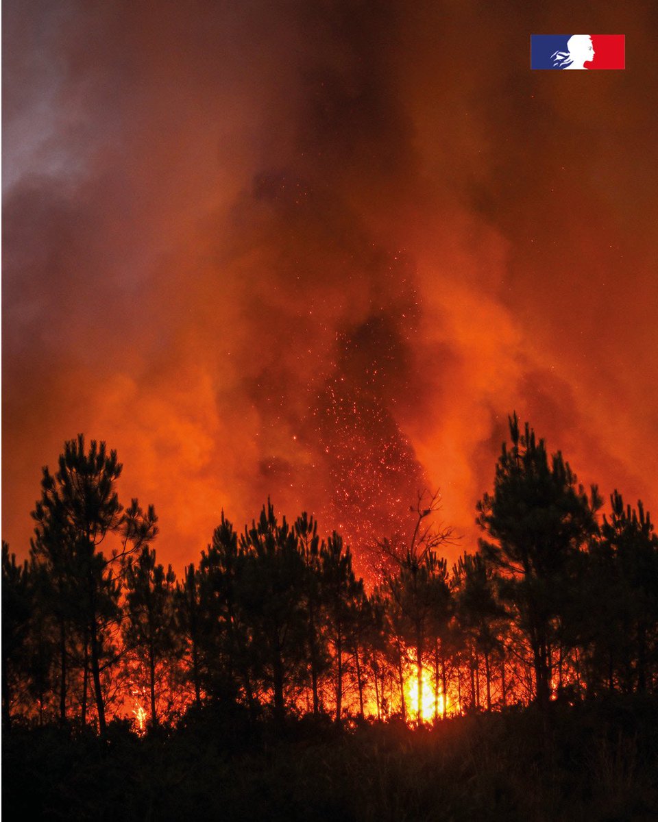 Armees_Gouv's tweet photo. #Incendies 🚒 En Gironde, les @MarinsPompiers de Marseille sont engagés aux côtés des services d'incendie et de secours pour lutter contre les feux de forêt.
Découvrez ce bataillon dans le #JDEF :
https://t.co/Hkrh7HcA5X https://t.co/r5TMZhmQ5s