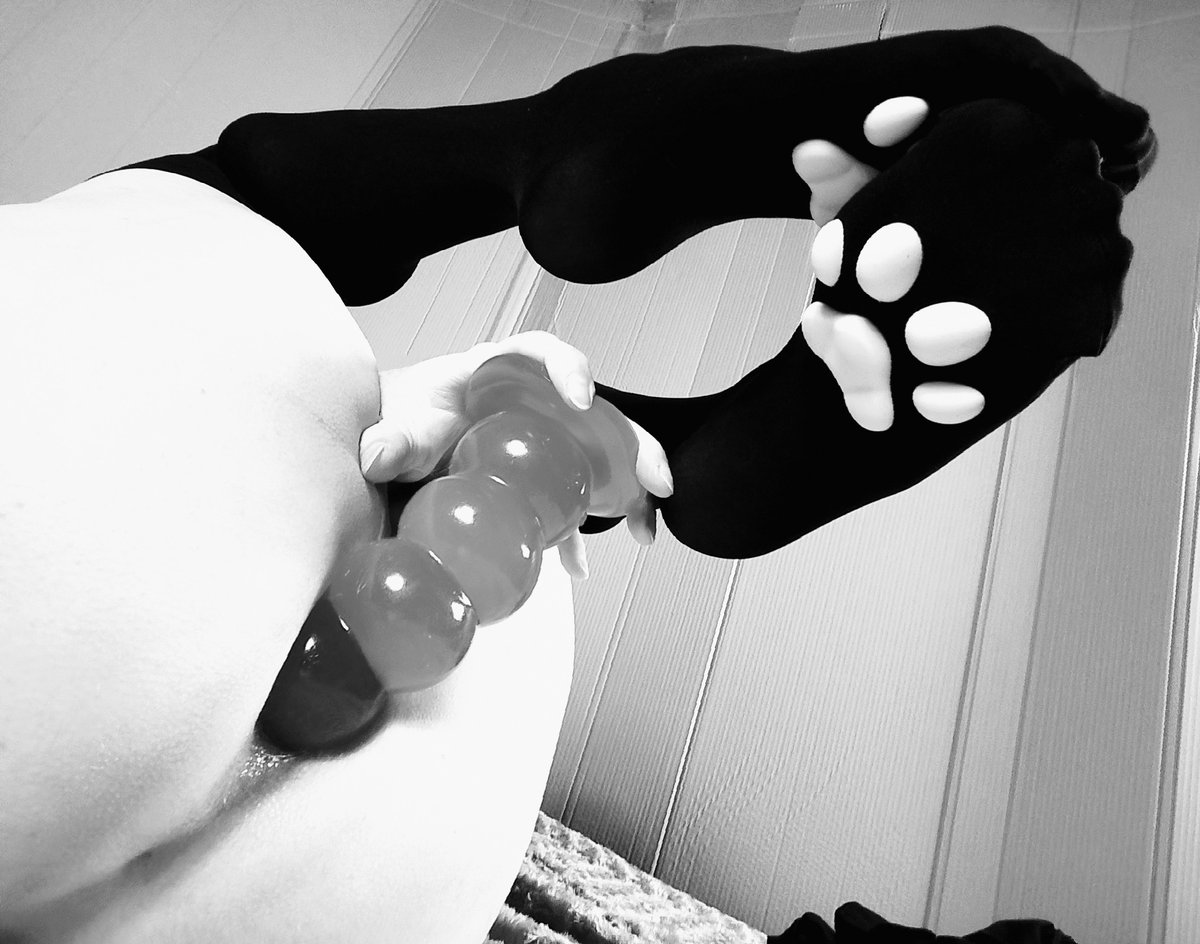 KitsyMe0w's tweet photo. Fill the butt,squish the paws. :3

#femboy #trans #paws https://t.co/Bl49knKhje