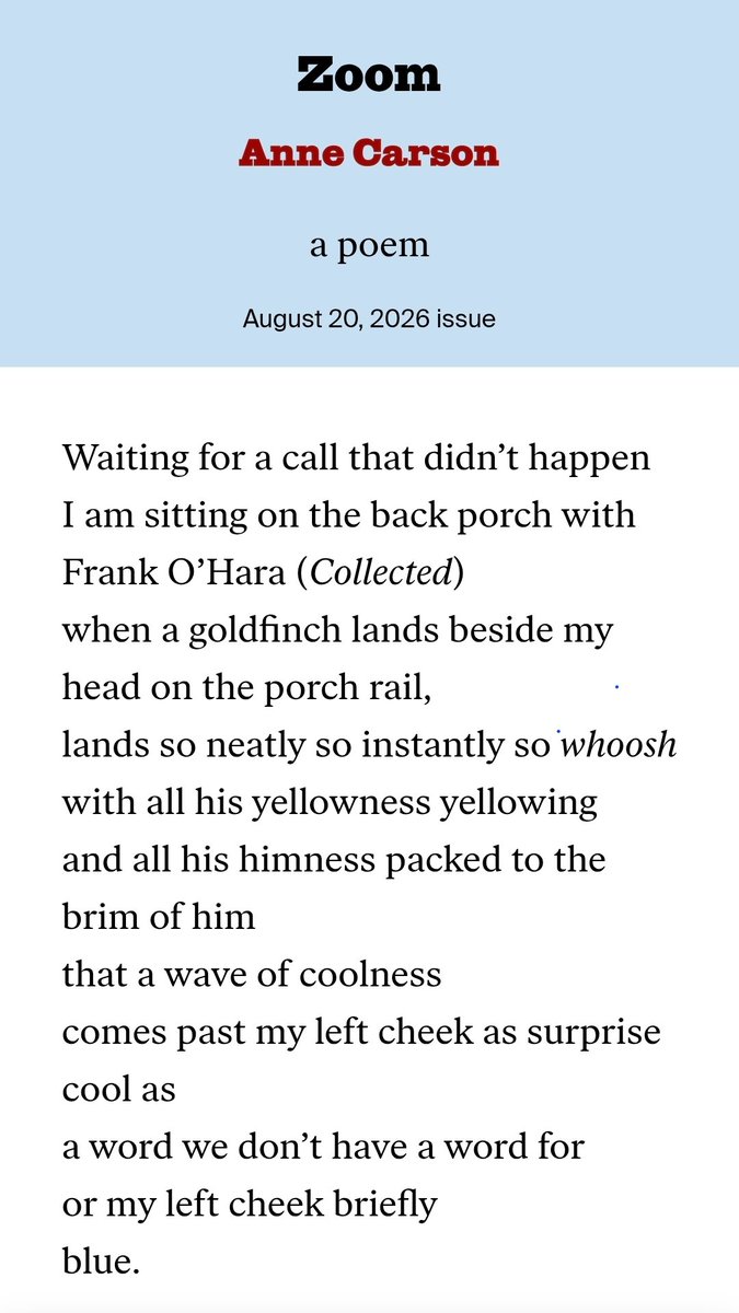 KALewandowski9's tweet photo. "Zoom" by Anne Carson @nybooks #poetrycommunity https://t.co/2yrTwmdS73
