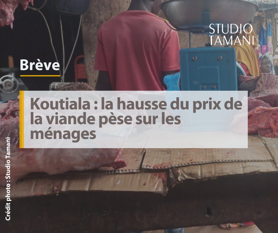 StudioTamani's tweet photo. #Mali À #Koutiala, le prix de la viande est en forte hausse depuis plusieurs semaines. Le kilogramme de viande avec os est désormais vendu entre 3 500 et 4 000 F CFA, contre 2 500 F CFA.
𝐋𝐢𝐫𝐞 𝐥𝐞𝐬 𝐝𝐞́𝐭𝐚𝐢𝐥𝐬 𝐢𝐜𝐢 👇 https://t.co/WWaWY6bS19 https://t.co/X8WSQkdKnx