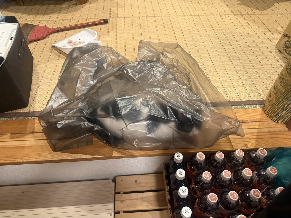 halchi_unkoman's tweet photo. かなり掃除した
えらい

これは自らを卑下する猫 https://t.co/cl0yMhOwUj