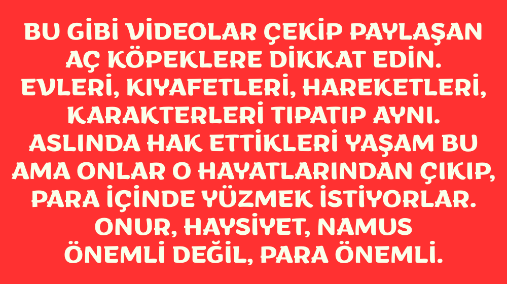 BulovaDavid's tweet photo. @XBasinX Eşinin açık-saçık videosunu çekip paylaşanların, "Para gelsin de nasıl gelirse gelsin" iğrençliğinden başka bir sebebi olabilir mi? https://t.co/l1FIvVFDwI