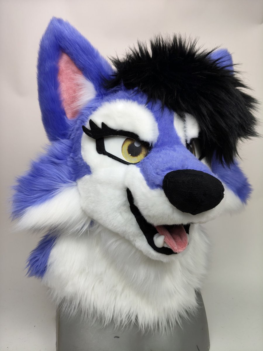 pinustudios's tweet photo. Bubbly, Colorful and Happy Husky :3

(2/3) https://t.co/sdvkJE0waG