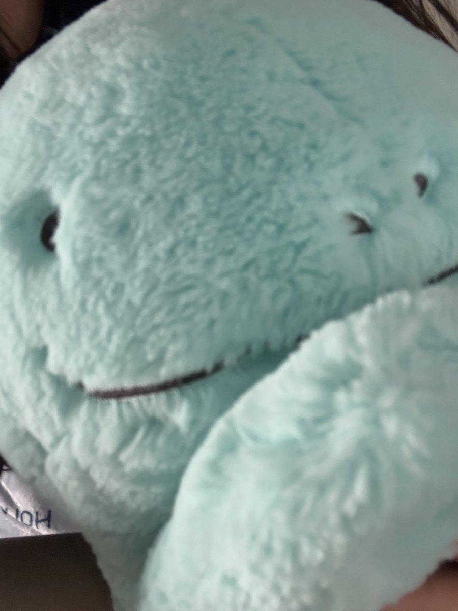 nuo_tane's tweet photo. どうだぬか、かわいいだぬか？
ぬおの魅力のふわふわもちもちボディーだぬよ https://t.co/FLO1kizsEa