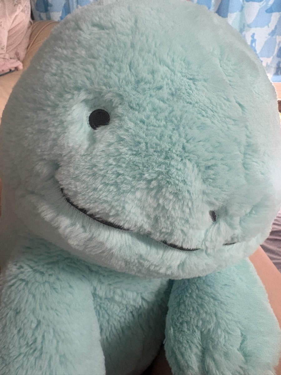 nuo_tane's tweet photo. どうだぬか、かわいいだぬか？
ぬおの魅力のふわふわもちもちボディーだぬよ https://t.co/FLO1kizsEa