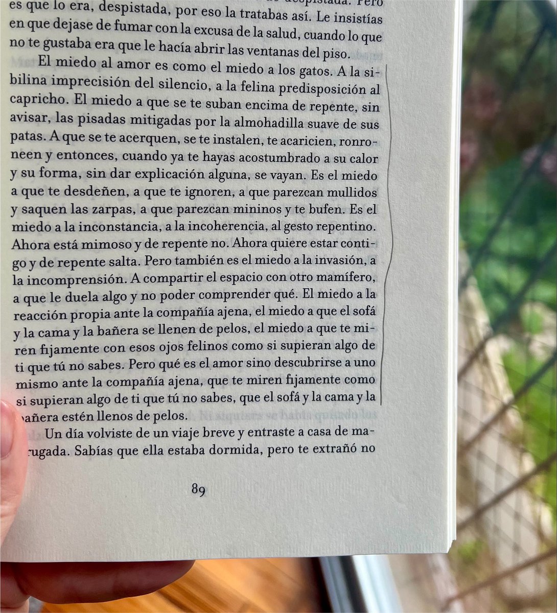 marce_tonic's tweet photo. "El miedo al amor es como el miedo a los gatos" https://t.co/XgZnWBP2NG