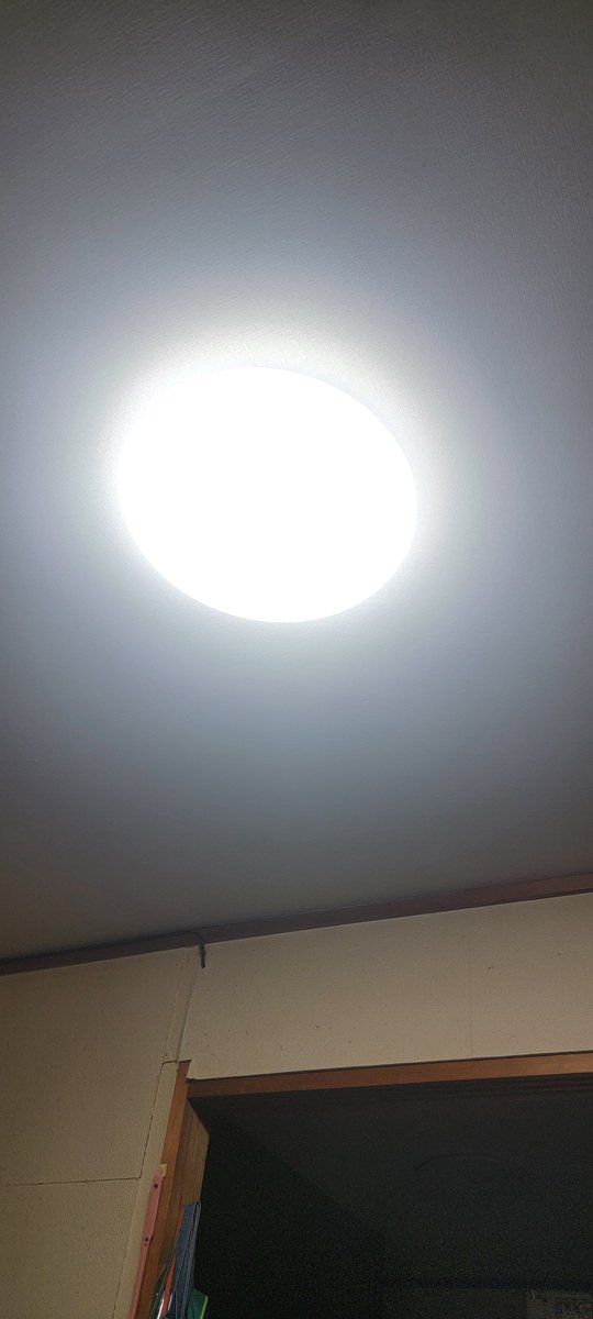 mu__1113's tweet photo. 地震発生から48時間、電気が復旧しました
家の外にある、給水のパイプが割れているため、水道はまだ使えません
また、シエラ(シー)もまだ見つかっていません
明日以降、まだ手付かずの部屋や物置を捜索しようと思います
作業が進みにくい状態で、余震もありますが、シーを見つけられる様に頑張ります https://t.co/MxkWFYzv4v