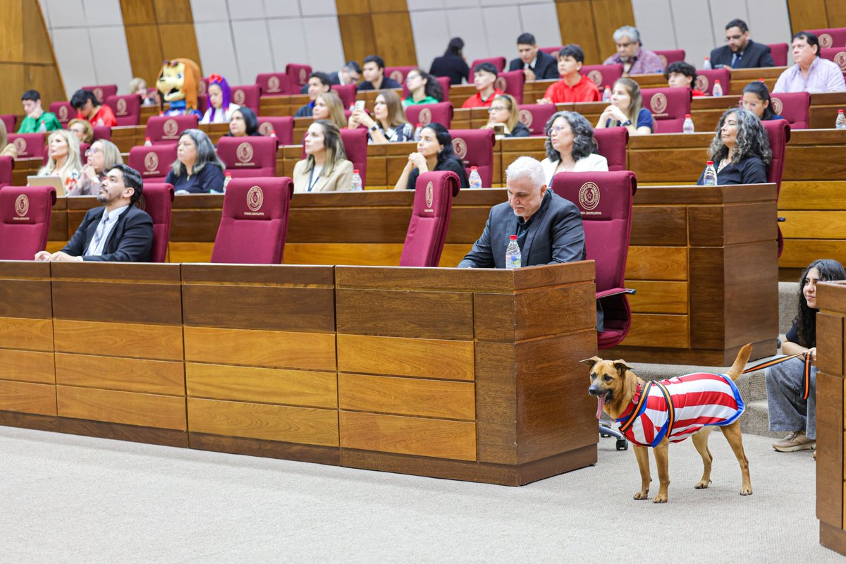 SenadoresPy's tweet photo. La senadora Guadalupe Aveiro, pdta de la Comisión de Asistencia, Protección y Bienestar Animal participa de la audiencia pública para analizar el proyecto de Ley QUE REGULA LA FABRICACIÓN, IMPORTACIÓN, ALMACENAMIENTO, COMERCIALIZACIÓN, TENENCIA Y UTILIZACIÓN DE PIROTECNIA👇🏽 https://t.co/H2VIgWnhoh