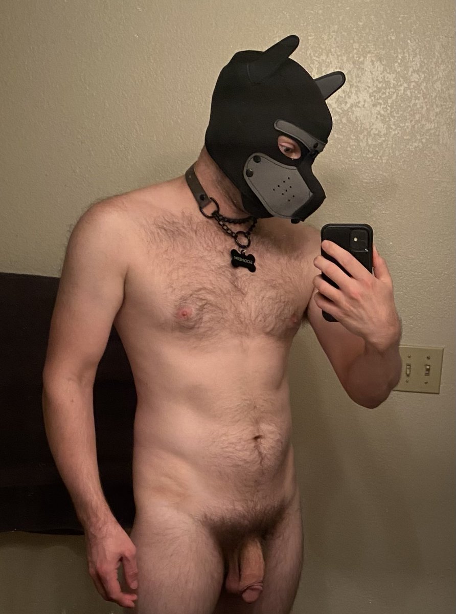Sogheim86's tweet photo. Woof https://t.co/61JS9s1uES