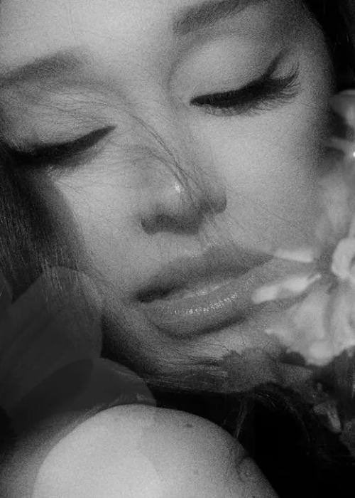 PInsider_'s tweet photo. 🚨 | Petal by Ariana grande comes out tonight! https://t.co/4gEnJDJs6z