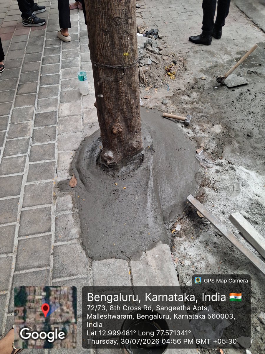 vijimn's tweet photo. ಮಲ್ಲೇಶ್ವರದ ಸಂಪಿಗೆ ರಸ್ತೆಯಲ್ಲಿ ಇವತ್ತು ಕಂಡಿದ್ದು. ಗಿಡಗಳ ಬುಡಕ್ಕೆ ಸಿಮೆಂಟ್ ಹಾಕಬೇಡಿ ಅಂದಿದ್ದಕ್ಕೆ "ದೊಡ್ಡವರು ಹೇಳಿದ್ದಾರೆ ಅದಕ್ಕೇ ಹಾಕುತ್ತಿದ್ದೀವಿ" ಅಂದರು! @CMofKarnataka @krishnabgowda
@GBA_office @GBAChiefCom https://t.co/uIWFbtASLR