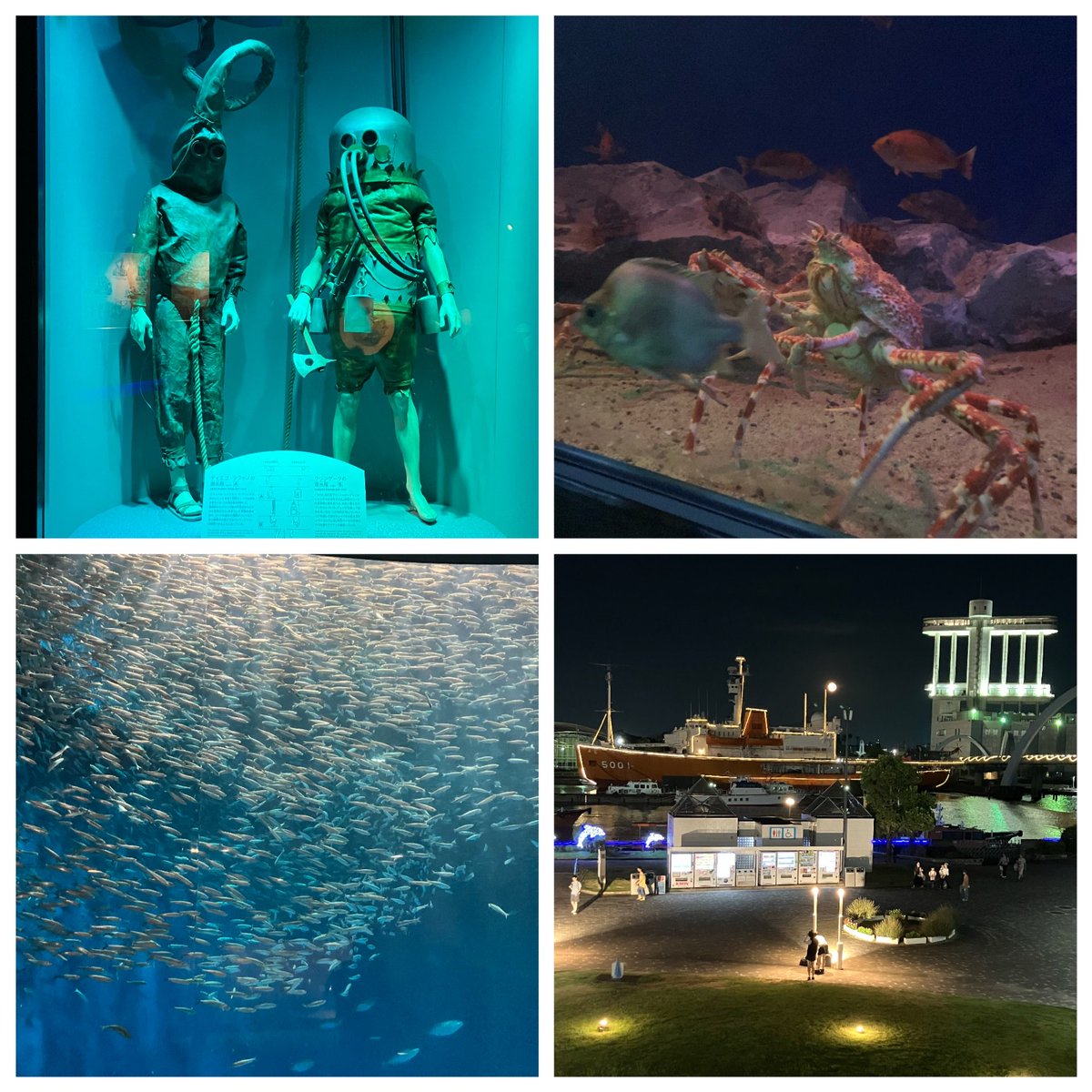 noribmx's tweet photo. いつもと違うルート

夜の水族館はいいね😊👍

何気に好きな、昔の潜水師

帰り、お月さん🌕綺麗だった〜✨

#名古屋港水族館 https://t.co/ojMMCyUntk