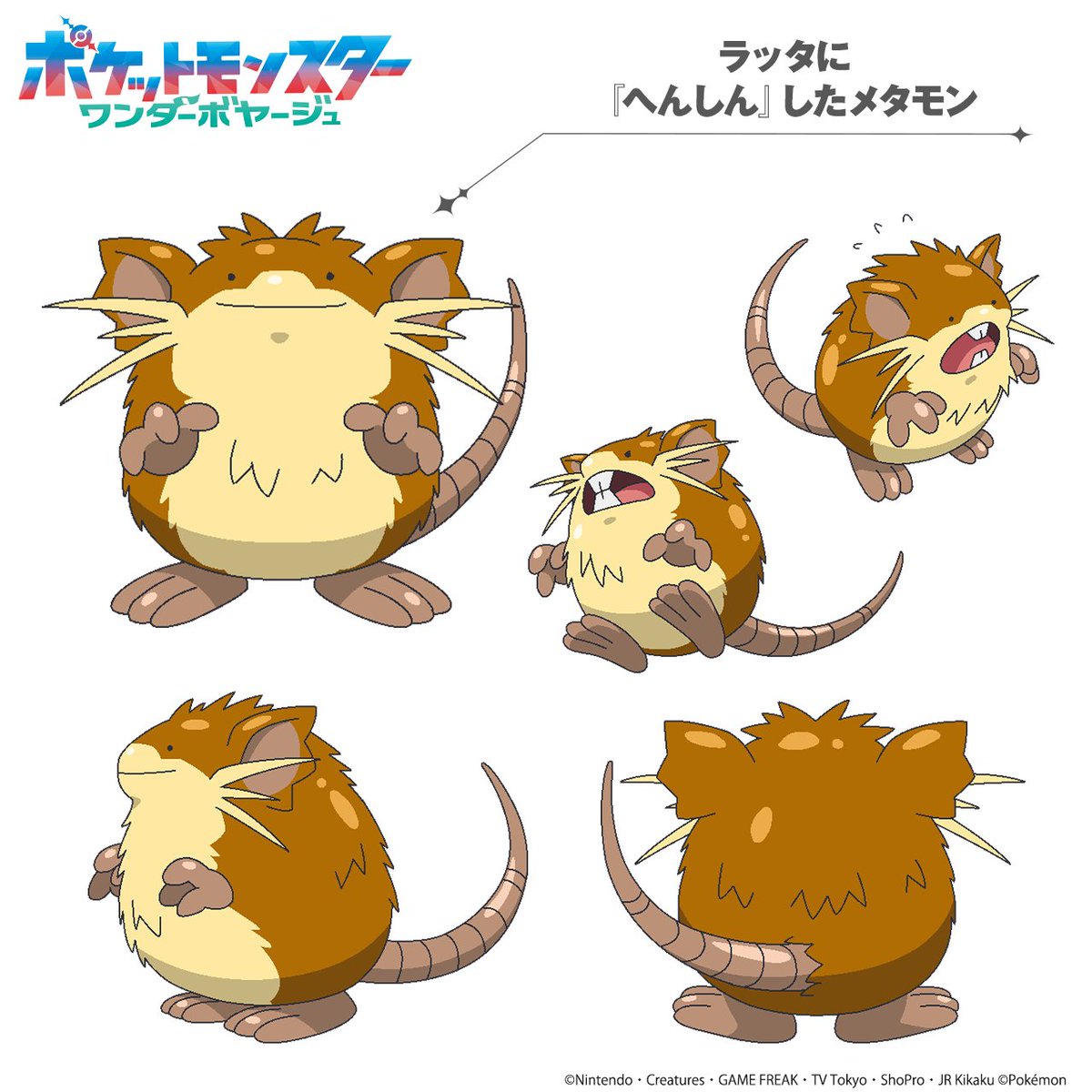 anipoke_PR's tweet photo. △#アニポケ ピックアップ▽

第144話で
ナヴィの #メタモン が初めてのポケモンバトル💥

対戦相手である #ラッタ に
『へんしん』した姿がこちらです♪

どんなバトルになったのかは…見逃し配信を見るモン！
https://t.co/aYJvzXDIqb https://t.co/wp97QKRzXt