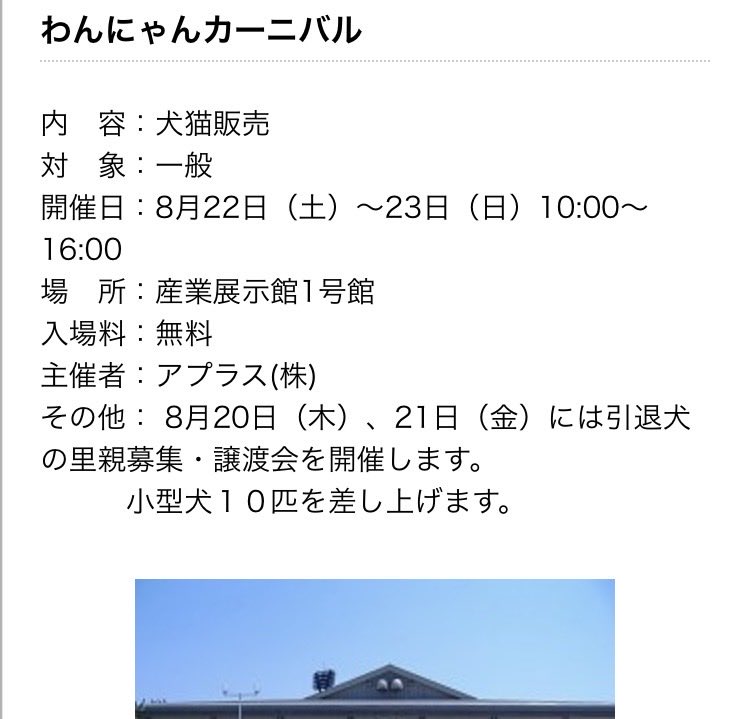 kinakomochi7891 tweet picture