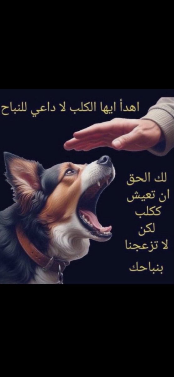 hlakmmm111's tweet photo. @SaeedAlyafeai https://t.co/9zmg3VvHPz