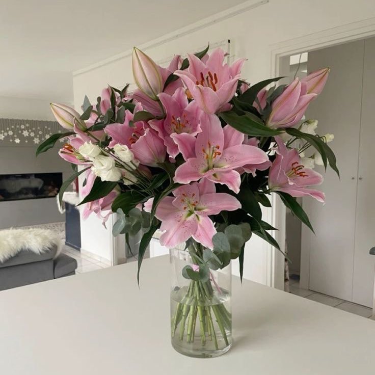 floraldiaryyy tweet picture