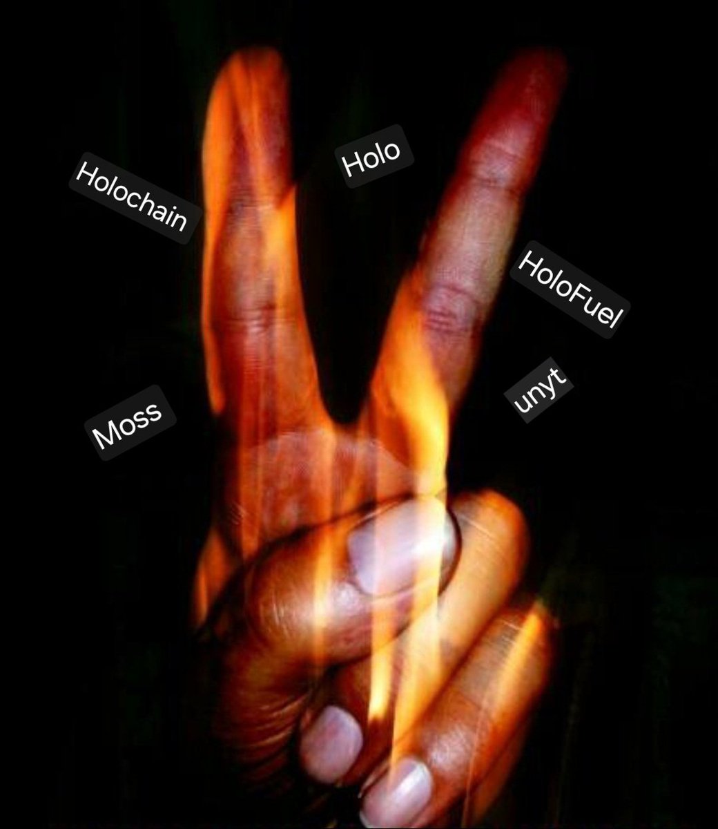 tErSnAmEe's tweet photo. #Holochain #Holo #HoloFuel #Unyt #Moos ✌️ https://t.co/JaAL7HPYdw