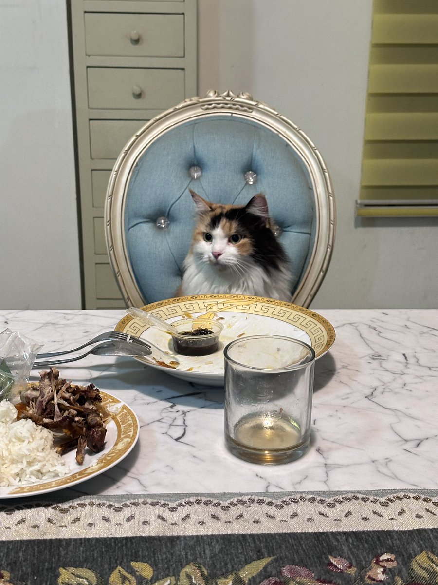 pentolkuriya's tweet photo. Fomo bgt org pada ngumpul di meja makan dia ikutan???

Ni guys kalo org makan dia cm celingukan doang gak celamitan https://t.co/8qe3HOULUa