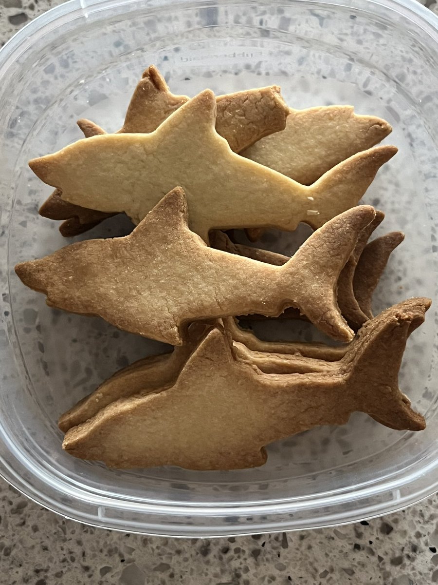 SHARKIEREXIC's tweet photo. shark sugar cookies for my boyfriend :p https://t.co/vFEXQjH58V