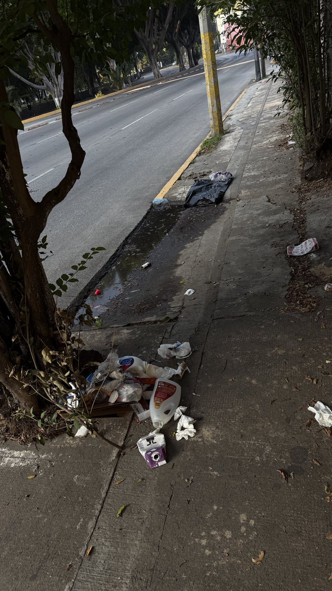 Sanfranvecinis's tweet photo. Apoyo por favor. Basura regada y escombro sobre Blvd 5 de Mayo esquinas Priv. Tercera y Segunda central. También 14 y 16 Ote.. @LimpiaPue @PueblaAyto #PueblaLimpia #PorAmorAPuebla https://t.co/eWFcaGJilh