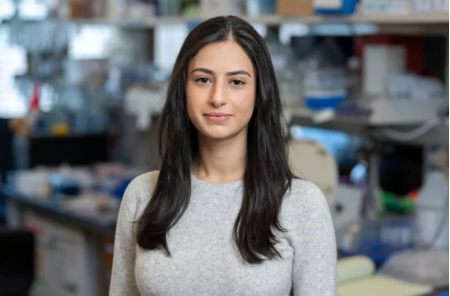 GSKGradSchool's tweet photo. Congratulations to GSK PhD student Yassmin Elbanna in the lab of @huselab for defending her thesis entitled "Mechanoimmunological Control of Metastatic Site Selection." https://t.co/3OzILp9cxH